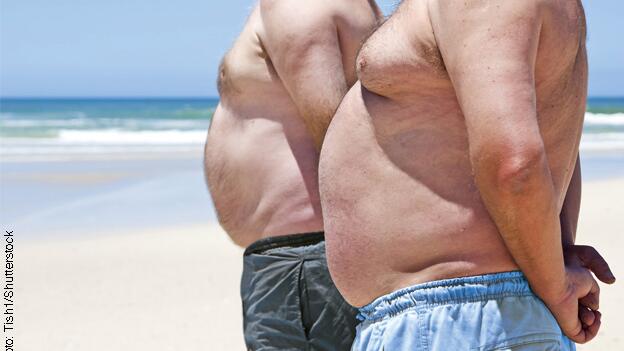 Sind Darmbakterien verantwortlich für das Übergewicht?